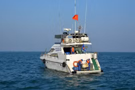 Vietnam, China conduct joint patrol in northern Gulf of Tonkin