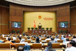 An overview of the National Assembly's ninth session (Source: nhandan.vn)