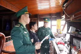 Nghe An border guards check the vessel monitoring system on a local fishing vessel before it leaves a port. (Photo: VNA)