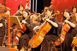 A New Year concert organised at Hoa Phuong Theatre, Hai Phong city - Illustrative image (Photo: VNA) 