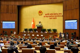 A plenary sitting of the NA's first extraordinary session (Photo: VNA)