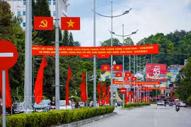 Party flags, national flags, and banners create a festive atmosphere along the streets of Dien Bien Phu ward, Hanoi (Photo: VNA) 