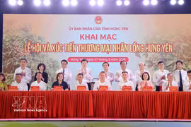 Businesses and localities sign memoranda of understanding on the supply and distribution of Hung Yen longan products (Photo: VNA)