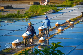 Keeping the salt fields of Chau Ha alive
