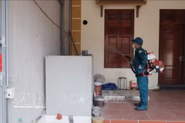 Spraying insecticide to prevent dengue fever in Dan Hoa commune, Hanoi. (Photo: VNA)