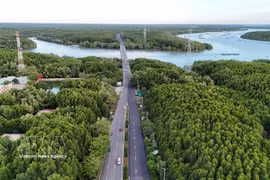 Can Gio protective forest spans four communes — Can Gio, Binh Khanh, An Thoi Dong and Thanh An of Ho Chi Minh City - creating potential for the development of the carbon credit market. (Photo: VNA)