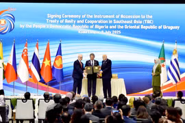 At the signing ceremony of the instrument of accession to the Treaty of Amity and Coopetition in Southeast Asia (TAC) by Algeria and Uruguay . (Photo: VNA) 