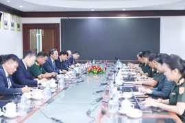At the working session (Photo: VNA)