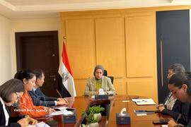 Vietnamese Ambassador to Egypt Nguyen Nam Duong has a meeting with Egyptian Deputy Foreign Minister for International Cooperation Samar Al-Ahdal in Cairo on June 4 (Photo: VNA)