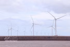 Ca Mau is focusing on developing renewable energy, leveraging its more than 310-kilometre coastline (Photo: VNA)