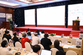 A view of the seminar in Da Nang city on June 30 (Photo: VNA)