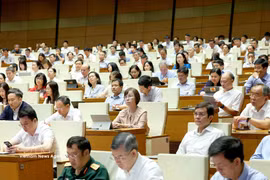 Officials attend the July 1 conference reviewing the one-year implementation of the overall organisational model of the political system and the three-tier administration model. (Photo: VNA)