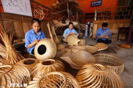 Illustrative image (Photo: VNA)