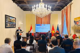 VAST Vice President Prof. Dr. Tran Tuan Anh speaks at an event in Vienna. (Photo published by VNA)
