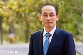 Minister of Foreign Affairs Le Hoai Trung (Photo published by VNA)
