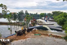 The Phu Ho agricultural cooperative in Phu Ho commune, Phu Vang district, Hue city mobilises manpower and pumps to drain floodwater and save rice crops for local farmers. (Photo: VNA)