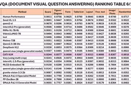 The position of CATI-VLM in the Document Visual Question Answering (DocVQA) rankings for June (Photo: CMC)