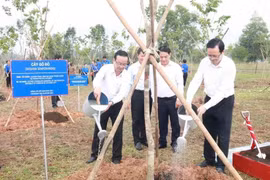 Representatives from Vietnamese and Chinese agencies plant trees at the event. (Photo: VNA)