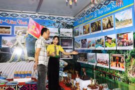 A man visits the exhibition. (Photo: VNA)