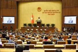 At the 16th NA’s first extraordinary session. (Photo: VNA)