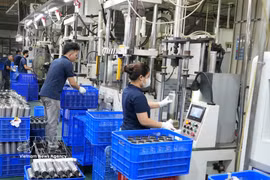Workers at Thang Long Packing Import-Export and Production JSC in Tu Son ward, Bac Ninh province. (Photo: VNA)