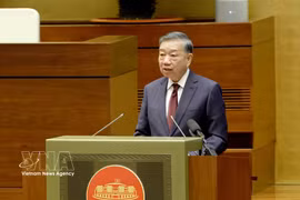 General Secretary of the Communist Party of Vietnam Central Committee and President To Lam addresses the conference. (Photo: VNA)