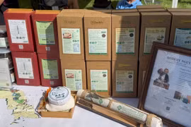 Vietnamese tea bridges cultures in Canada