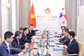 Deputy Minister of Foreign Affairs Dang Hoang Giang and Panama's Deputy Minister of Foreign Affairs Carlos Arturo Hoyos co-chair the second Vietnam-Panama political consultations in July 2026. (Photo: VNA)