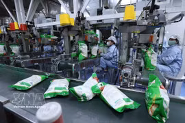 Packing rice for export at Vinh Phat Wilmar Rice Company factory, Binh Duc ward, An Giang province. (Photo: VNA)