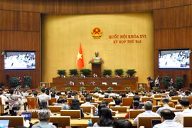 An overview of a discussion during the second session of the 16th National Assembly (Photo: VNA)