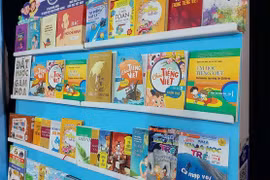 Several book titles used for teaching Vietnamese language to children of overseas Vietnamese. (Photo: VNA)