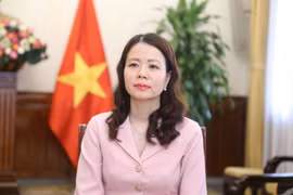 Deputy Minister of Foreign Affairs Nguyen Minh Hang (Photo: VNA)