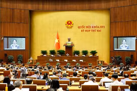 Minister of Culture, Sports and Tourism Lam Thi Phuong Thanh, ed by the Prime Minister, presents the proposal for the draft Law on the Development of Cultural Industries. (Photo: VNA)