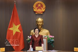 Deputy Prime Minister Pham Thi Thanh Tra speaks at the conference. (Photo: VNA)