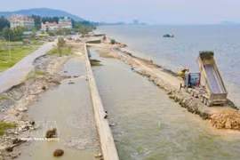 Thanh Hoa province is accelerating the upgrading of vulnerable dykes and embankments (Photo: VNA)