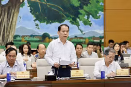 Minister of Justice Hoang Thanh Tung speaks at the discussion (Photo: VNA)