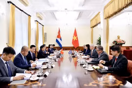At the political consultation (Photo: VNA)