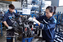 Automech Mechanical Equipment and Solutions JSC, located in Dinh Tram Industrial Park in Bac Ninh province, generates annual revenue of about 1 trillion VND (38 million USD) and provides jobs for more than 600 workers. (Photo: VNA)