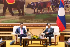 Lao PM Sonexay Siphandone (right) receives Vietnamese Auditor General Nguyen Huu Nghia in Vientiane on June 25, 2026. (Photo: VNA)