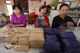 Facts have shown that older people possess extensive production knowledge accumulated over many years and play an important role in sustaining community livelihoods and protecting local ecosystems. (Illustrative photo: VNA)