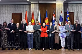 Participants at the event (Photo: VNA)