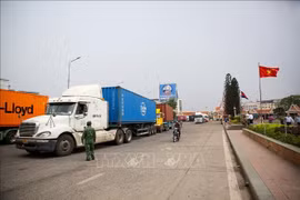 Bustling trade activities along the Vietnam–Cambodia border are contributing to the goal of raising bilateral trade turnover to 20 billion USD. (Photo: VNA)