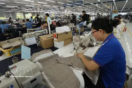 Workers make clothes for export at Nha Be- Hau Giang Garment JSC in Vi Thanh ward, Can Tho city. (Photo: VNA)
