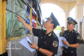 Customs officers check goods transported via Tinh Bien international border gate in An Giang province. (Photo: VNA)