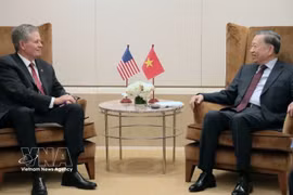 General Secretary of the Communist Party of Vietnam Central Committee and President To Lam (R) meets with US Senator Steve Daines in New York on September 23 morning (local time). (Photo: VNA)