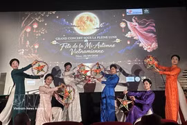 A dance performance at the festival (Photo: VNA)