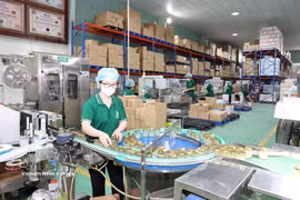 A factory manufacturing bird's nest products in Khanh Hoa province (Photo: VNA)