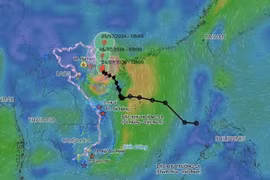 The projected path of Storm No. 1 (Maysak) as of 2:00 pm on July 4. (Photo published by VNA)