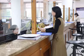 Civil servants at State Treasury Region 4 work to ensure the smooth collection, disbursement and settlement of the state budget. (Photo: VNA)