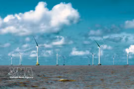 Off the coast of Ca Mau province, average wind speeds of 6.3–7 metres per second at heights of 80–100 metres provide favourable conditions for offshore wind development, with stronger winds further offshore. (Photo: VNA)